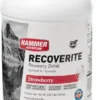 Hammer Nutrition Recoverite Drink Mix