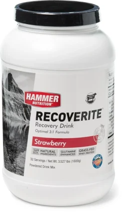 Hammer Nutrition Recoverite Drink Mix