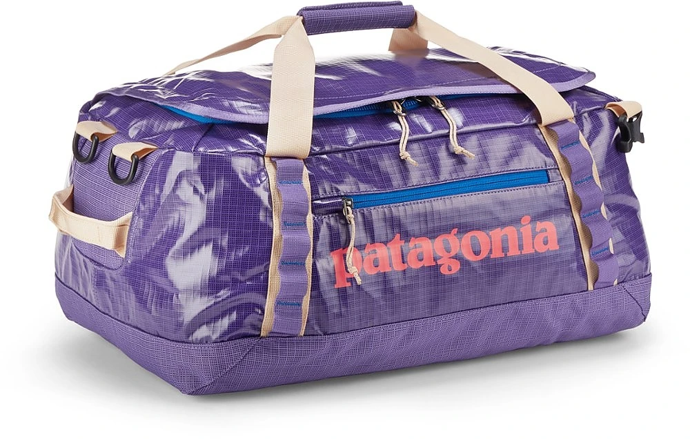 Patagonia Black Hole Duffel - Image 18