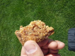 ProBar Old School PB&J Bar