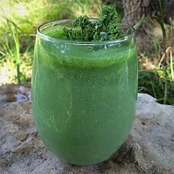 Packit Gourmet Mango-Kale Jump-Start Smoothie